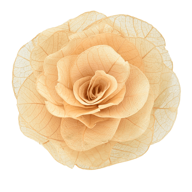 10eb31a88cb7caddf786a1985016123fe073f56525a0d4a24bcaa4f8b1f6541d.png