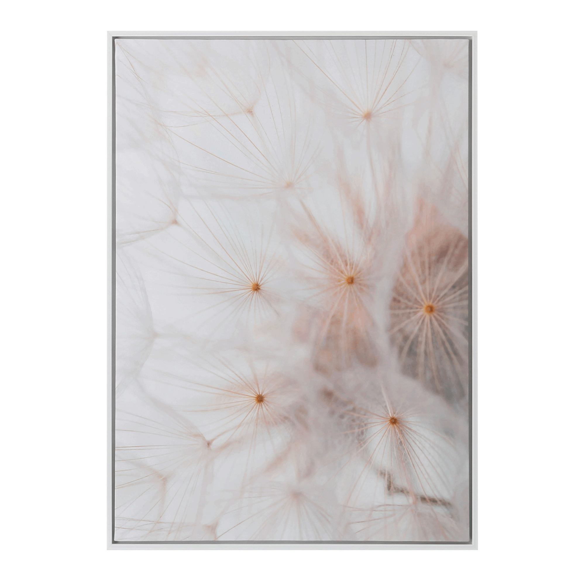 37be6c0f16adf1b8123eea6b314661ee0dff7ff7aa51dd740ecdd29c389347de.png