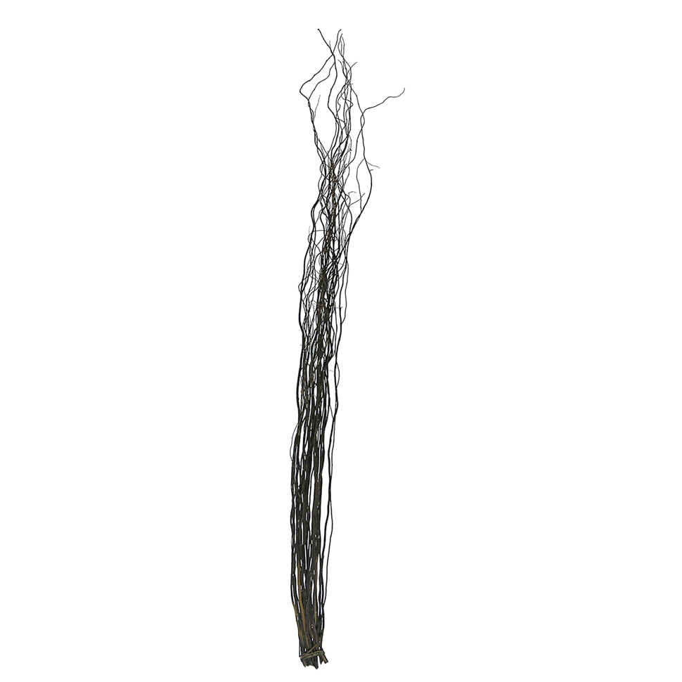 69cf0cd63710b416419816aa1e58b16a3b409b2404db7ee97ba2bf62cb0ee385.jpg