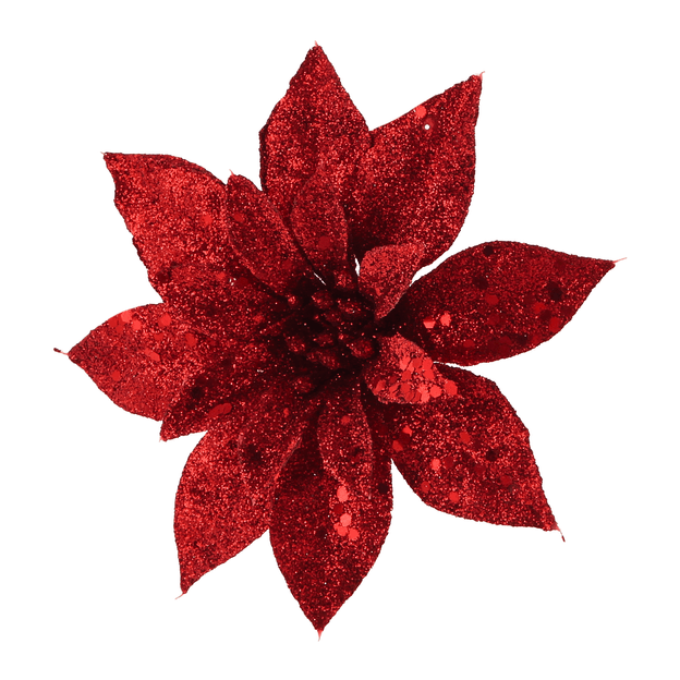 d56d5dfdd80ceeef18bb6c6319100a205e336c5ba421ea252aacbab5100bcbd5.png